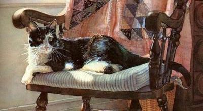 Tableau du samedi 240 : Le repaire du chat