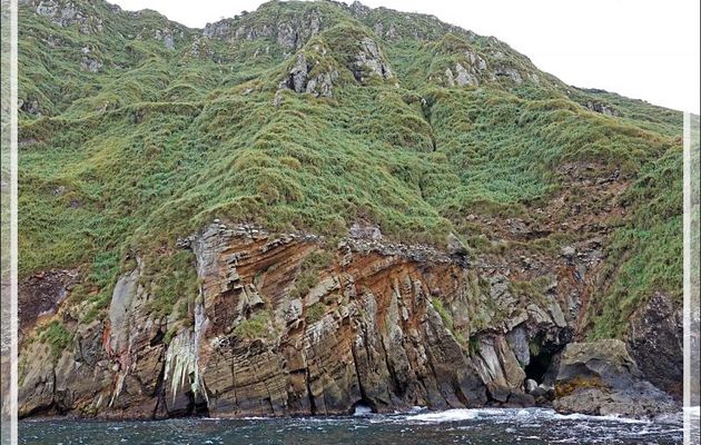 Quand la nature fait dans l'abstrait  : c'est un peu moins beau que les falaises et les grottes précédentes, mais c'est quand même très beau ! - Nightingale Island - Tristan da Cunha