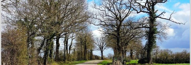 Balade / Mardi 13 Mars 2018