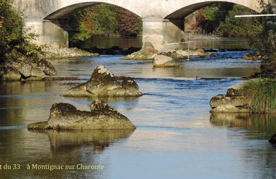 reflets sur la Charente
