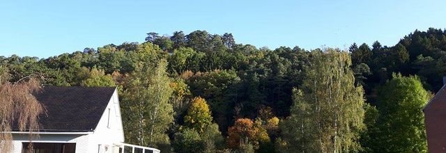 On entendrais une mouche voler