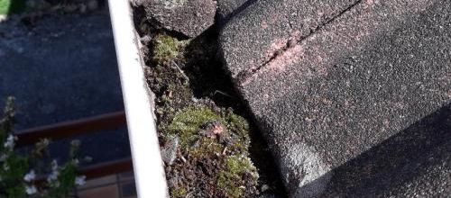 SVP arrêtez le confinement