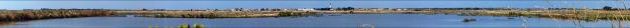 Vue panoramique sur les marais sauvages d'Ars-en-Ré - Île de Ré - 17