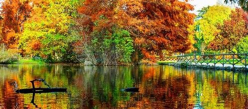 L'automne 