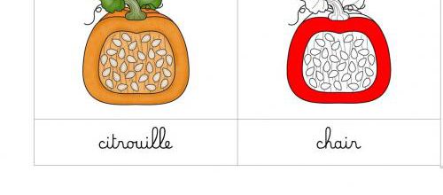 [Nomenclature] Citrouille