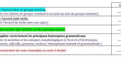 Des grilles d'analyse des dictées bilans