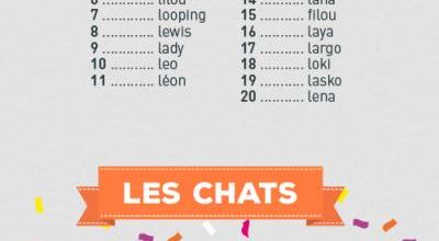 Le palmarès 2015 des noms d'animaux de compagnie