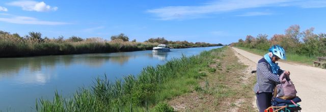 les oiseaux près de la Tour Carbonnière