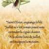 Dictons et Fête du jour Olivier + grille prénom   !