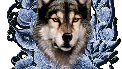 Le loup