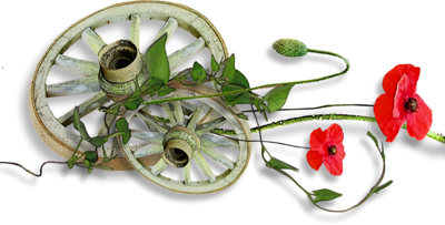 Gentil coquelicot mesdames......