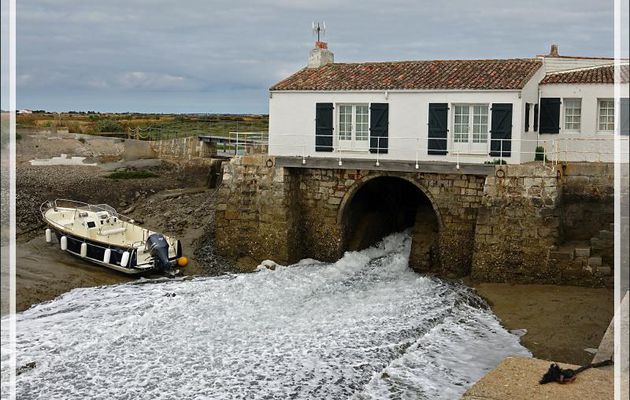 Le "Moulin à marée" à marée basse - Loix - Ile de Ré