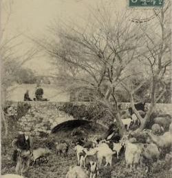 Le Pas des Bohémiens à Simiane, Bouches-du-Rhône