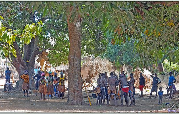 Nous arrivons au village Ampincha, les hommes écrasent les fruits du palmier à huile et les femmes surveillent les cuissons nécessaires avant et après - Ile Carache  - Bijagos - Guinée Bissau