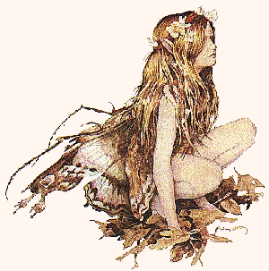 Sur le chemin des fées et des korrigans
