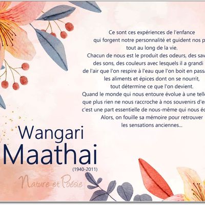 La pensée du jour (194)