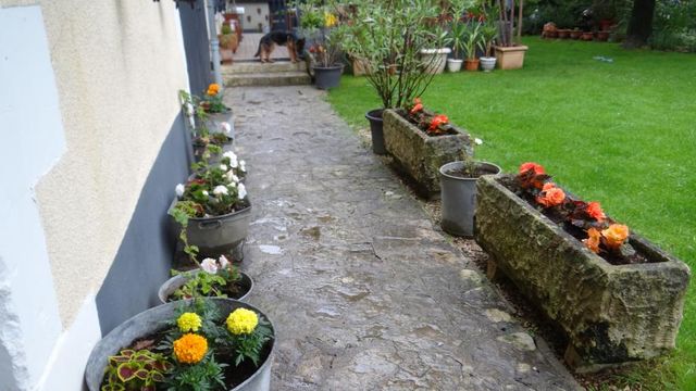 Un Eté Fleuri sur les Terrasses