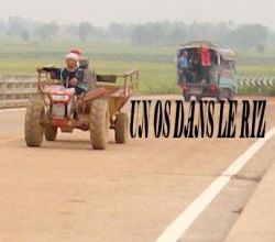 Lorsque Prik part en campagne...