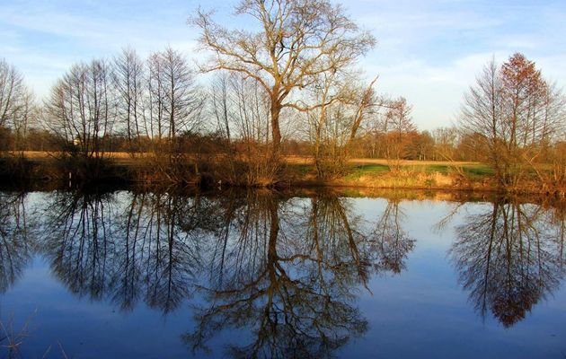 défi reflets d'Annie