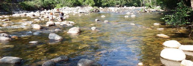 au bord du Tarn dans la Lozère