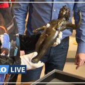 Cette rare statue romaine est restituée à la France 50 ans après son vol dans un musée