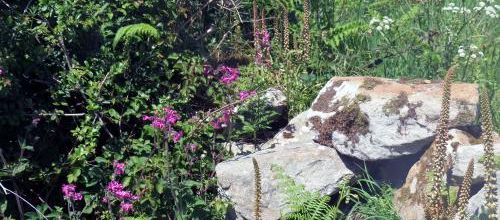 Bretagne mai 2014 (14) - Plogoff - La fontaine 