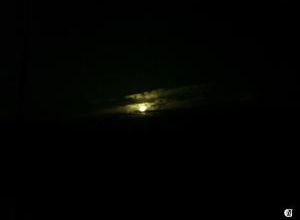 Éclipse partielle de soleil de janvier 2011
