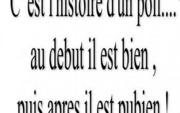 C'est l'histoire d'un poil !