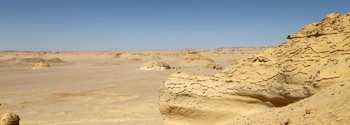 L’aire protégée de Wadi al-Hitan, Egypte 2023