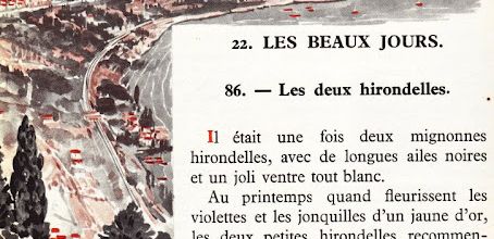 Dumas CE1 S22 Les beaux jours