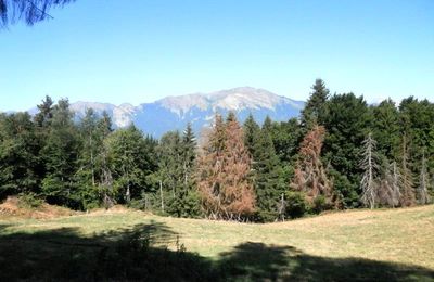 RANDONNEE DU SENTIER DES POINTIERES (Savoie - 73)