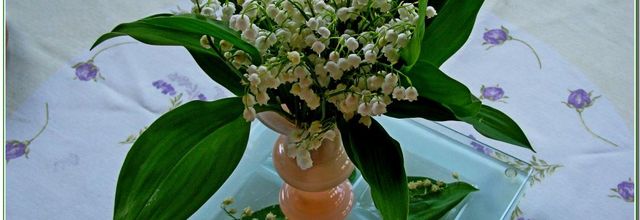 MUGUETS DU JARDIN