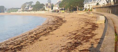 Tous à la plage