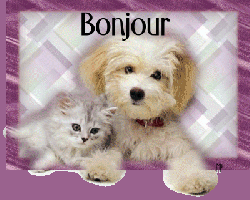 De l'amitié dans ma BAL