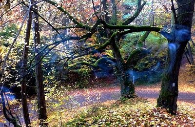 Promenade d'automne entre la Croix Saint-Clément et Dornot... 
