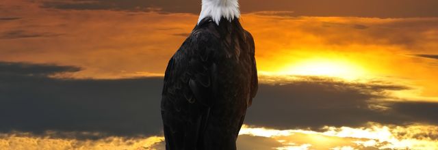 Message de White Eagle
