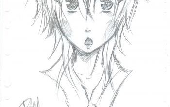 Le retour des dessins !
