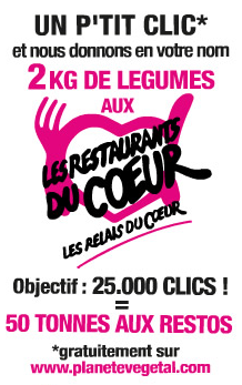 Restos du coeur 2013