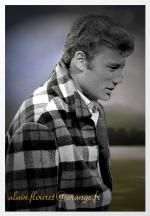 Fond ecran johnny hallyday007