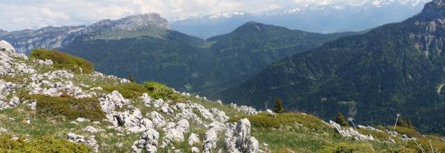 Le Charmant Som (2)
