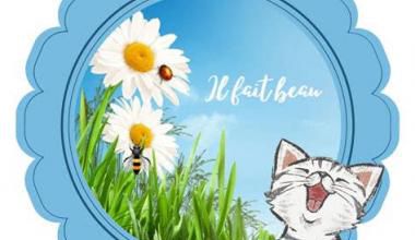Bon dimanche 3 novembre 