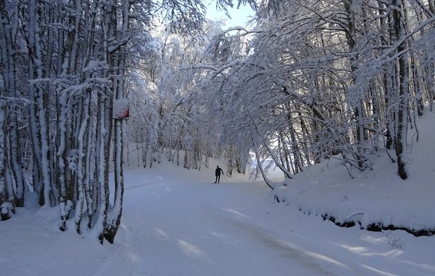 Le 13 décembre 2020 : En passant par les solives avec mes...