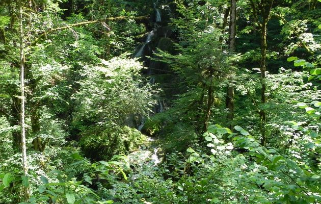 les cascades de la Consolation - Doubs