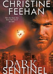 Free audiobook downloads for android Dark Sentinel in English CHM MOBI iBook