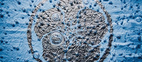 Another Healthy Dose of Feminine Power from Japan - A Review of Nemophila's Revive