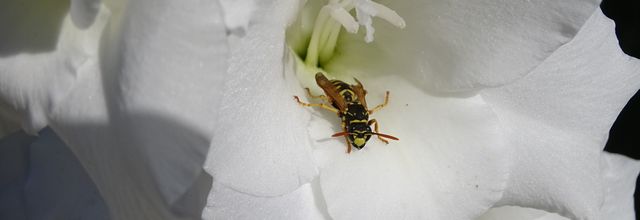 Soleil mais plus frais