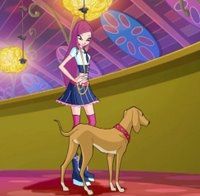  ROXY