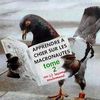 La nouvelle France est née avec la peur au ventre !