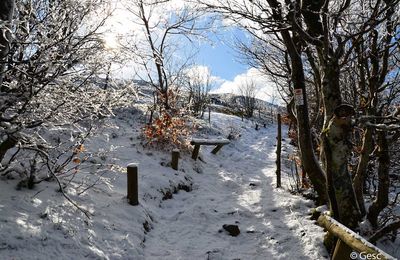 L'Alsace en février