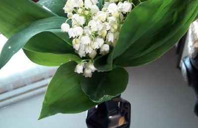 Un an de plus avec du muguet...